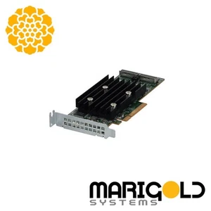 Adaptador controlador Dell HBA355i 12 Gb/s PCIe SAS x16 GJYVJ 0GJYVJ - Imagen 1 de 1