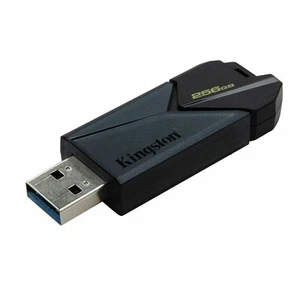 Clé USB Kingston DTXON/256GB Noir 256 GB - Afbeelding 1 van 3
