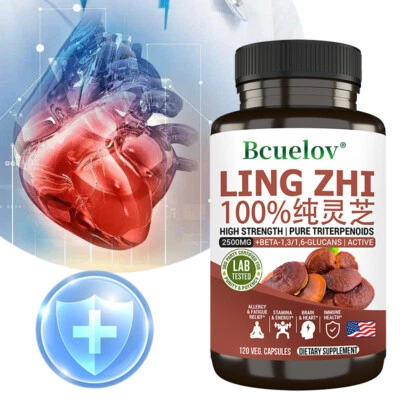 Lingzhi Red Reishi 2500mg - Rissige Sporen Allergie Müdigkeit Angst Energie Immun - Bild 1 von 4