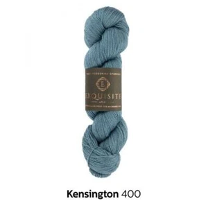 West Yorkshire Spinners EXQUISITE 4PLY Madeja De Lana 100g - 400 Kensington - Imagen 1 de 1