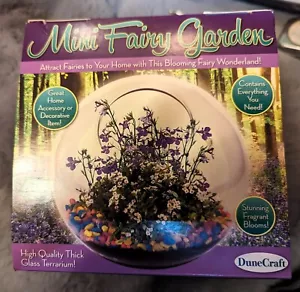 Dune Craft Mini Fairy Garden - Picture 1 of 5