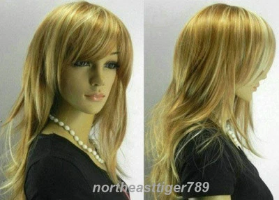 Peluca larga marrón mezcla rubia clara recta mujer dama cosplay fiesta cabello pelucas + gorra Foto 1 de 3
