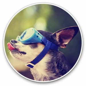 2 x Vinyl Stickers 20cm - Funny Biker Chihuahua Dog Cool Gift #16415 - Afbeelding 1 van 9