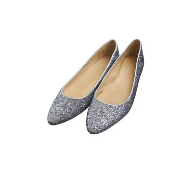 Talbots  Edison  Silver Glitter  Flats  Dress Shoes  Women’s  Size 8W - Image 1 of 4