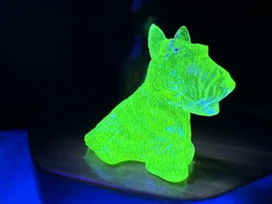 Uranium Glass Vaseline Carnival Boyd Duke The Scottie Dog 18/11/2003 Glows UV - Picture 1 of 9