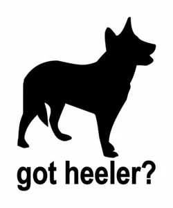 Australian Cattle Dog Got Heeler Aufkleber #1 4"x5" Farbe wählbar - Bild 1 von 2