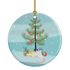 Dumbo Sphynx Rat Merry Christmas Ceramic Ornament CK4470CO1