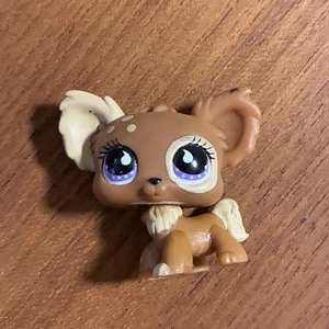 Littlest Pet Shop #963 Chihuahua Hund sportlichste exklusive Haustiere nur LPS Hasbro - Bild 1 von 3