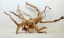 racine mangrove mopani  spider root souche RB 111 xl bois 40X45X20 nano aquarium