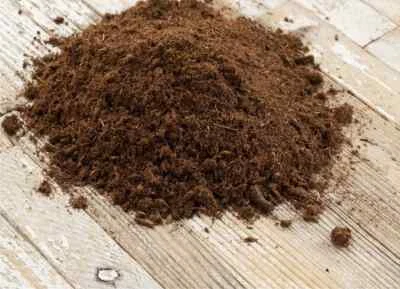 TORBA BIONDA DI SFAGNO EXTRA  ANCHE   PER TERRARI   (LT 14)   FIBRA 0.40 - Immagine 1 di 4