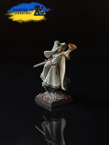 Handmaiden of the Lady with sword - Picture 1 of 2
