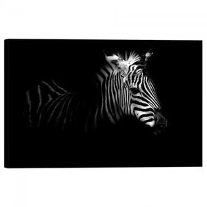 Cuadro Impresión En Lienzo Con Marco Zebra - Imagen 1 de 1