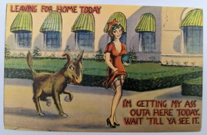 VINTAGE PIN UP  ASHEVILLE POST CARD Comic Linen by Asheville N.C. donkey - Picture 1 of 6