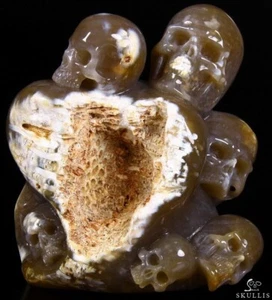 8.11.2014 ACSAD (Ein Kristallschädel pro Tag) - Mer People - Achat Koralle Fossil - Bild 1 von 16