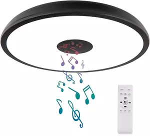 Black Waterproof LED Ceiling Light Fixture,With Bluetooth Speaker,11 Inch,18 Wat - Picture 1 of 12