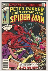 Peter Parker and the Spectacular Spiderman #11 (1977) FNVF - Picture 1 of 2