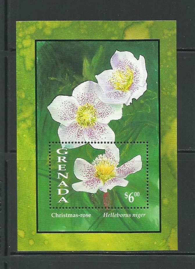 GRANADA. Año: 1993. Tema: FLORA FLORES. - Imagen 1 de 1