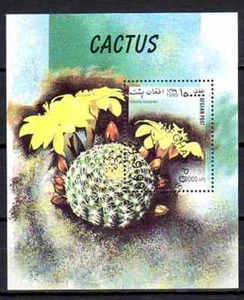 Blumen - Kaktus Afghanistan 1999 (102) Block gestempelt - Bild 1 von 1