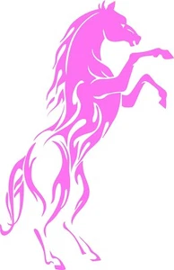 Savage Stallion Mustang Native Horse Vinyl Sticker Decal Car Laptop Racehorse - Picture 1 of 13