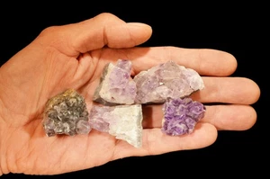 Racimos de AMATISTA 1 1/2" 5 piezas 7 OZ muestra mineral de roca cruda curación de chakras - Imagen 1 de 1