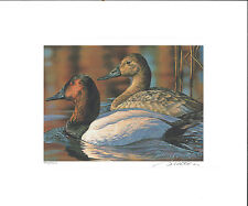 RW60 1993 FEDERAL DUCK STAMP PRINT CANVASBACKS by Bruce Miller