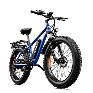 1000W 48V Electric Bike Mountain Bicycle e bike 26" Fat Tire 28MPH for Adult US - Picture 1 of 22