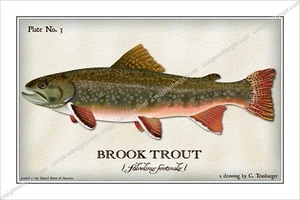 Trout,Brook,Brown,Bull,Cutthroat,Dolly Varden,Rainbow,Lake,Golden,fishing,fly - Picture 1 of 41
