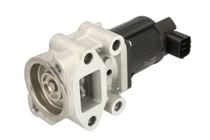 AGR Ventil DELPHI EG10543-12B1 - Picture 1 of 1