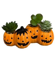 Pumpkin Halloween Faux Succulent & Cactus - Picture 1 of 1
