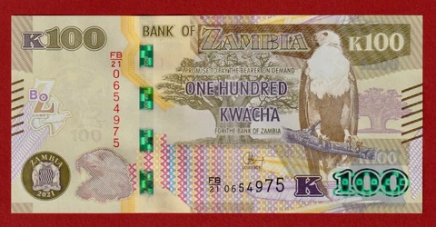 🇿🇲 Zambia. 100 Kwacha. 2021. African Fish Eagle. P.61. FB/21 Prefix. Crisp UNC Cover