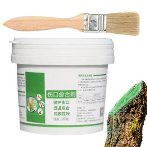 Tree Wound Sealer Tree Wound Healing Sealant 500g Tree Pruning Healing Sealant - Picture 1 of 12