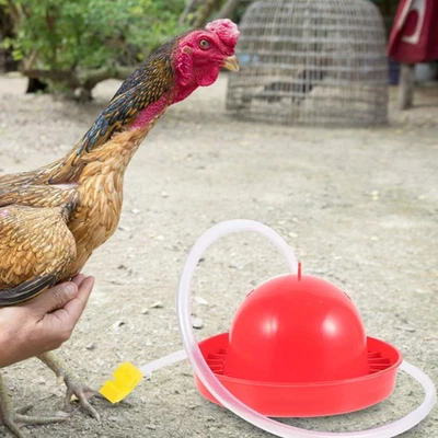  1 Set Tragbarer Geflügelfutterautomat mit großer Kapazität, Kükenfutterautomat, - Bild 1 von 4