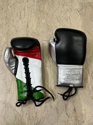REAL COWHIDE LEATHER COSTOMMADE NO BOXING NO LIFE BOXING GLOVES ALL CLR AND SIZE - Image 1 of 4