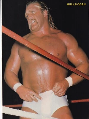 Hulk Hogan Iron Sheik 8x11 Pro Wrestling Magazine Page Photo NWA AWA - Image 1 of 3