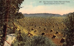 Postcard WI: Our Farmers' Golden Harvest Fields, Wisconsin, DB 1910's - Picture 1 of 2