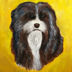 Wall Art Shih Tzu painting Original in Acrylic 16”x12” Dog Stretched Animal - Picture 1 of 4