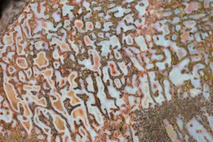 Agatized Dinosaur Bone Slabs Pair Utah EX Shirley Collection 360 grams - Picture 1 of 8