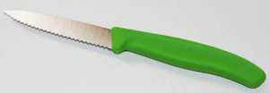 Victorinox 67636L114 Coltello da Pelare con Punta Acuta, 8 cm, 3, Verde - Foto 1 di 3