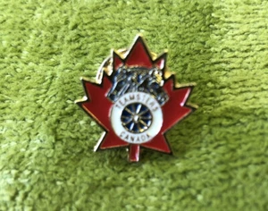 Vintage Teamsters Canada pin - Picture 1 of 3
