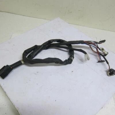 Kawasaki Concours 14 ZG1400A 2008 ABS OEM arnés de cableado delantero Foto 1 de 4