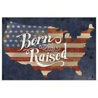 USA Born and Raised Poster Art Print, American Flag Home Decor