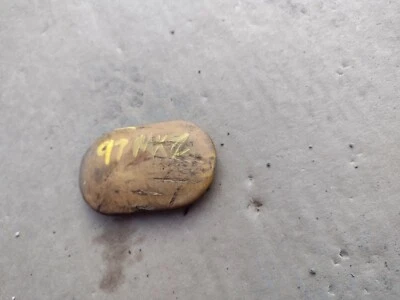 Ski Doo MXZ 670 1997 embrague enchufe de acceso Foto 1 de 2