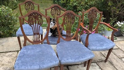 古董红木餐厅椅子 6 件套 — 第 1/4 张图片