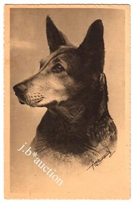 DEUTSCHER SCHÄFERHUND / ELSÄSSER HUND * Künstler-AK um 1940 - Picture 1 of 2