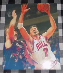 Toni Kukoc Signed 8x10 Photo Chicago Bulls - Picture 1 of 1