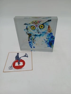 Colorido Búho Arte Acrílico Bloque Acuarela Decoración del Hogar Pisapapeles Moderno 6" x 6" Foto 1 de 4