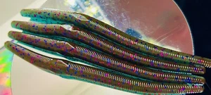 6" GEO STYLE STICK BAIT SOFT PLASTIC WORM BASS FISHING LURE 8ct BLUE CRAW* - Picture 1 of 5
