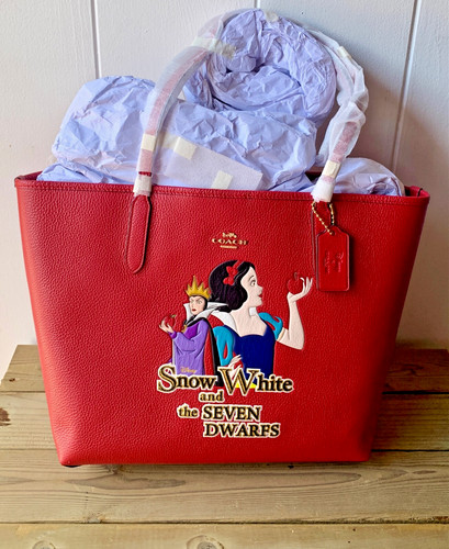 Borsa Disney X Coach City con interno in tela firmato e motivo Regina Cattiva