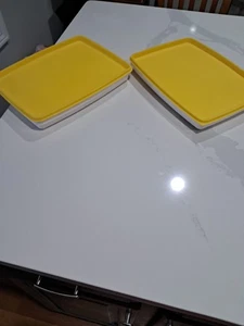 Paar Vintage ~ Loma Micro-Serv Mikrowelle Essen/Abendessen Tablett Mahlzeit Vorbereitung/Camping ~ EUC! - Bild 1 von 7