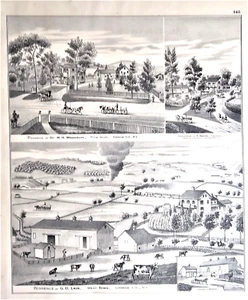 1875 Holzstiche, Kiefernbusch NY, 3 Bauernhöfe, Tornado, Zug, Pferde, Kuh - Bild 1 von 9